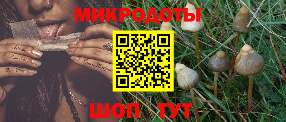 Солнечногорск  Галлюциногенные грибы ЛСД  Вход с VPN  Псилоцибиновые грибы мицелий 