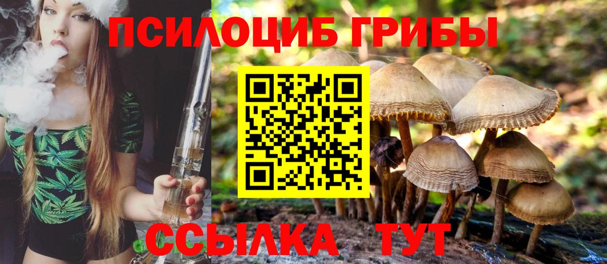 Псилоцибиновые грибы Psilocybine cubensis Солнечногорск