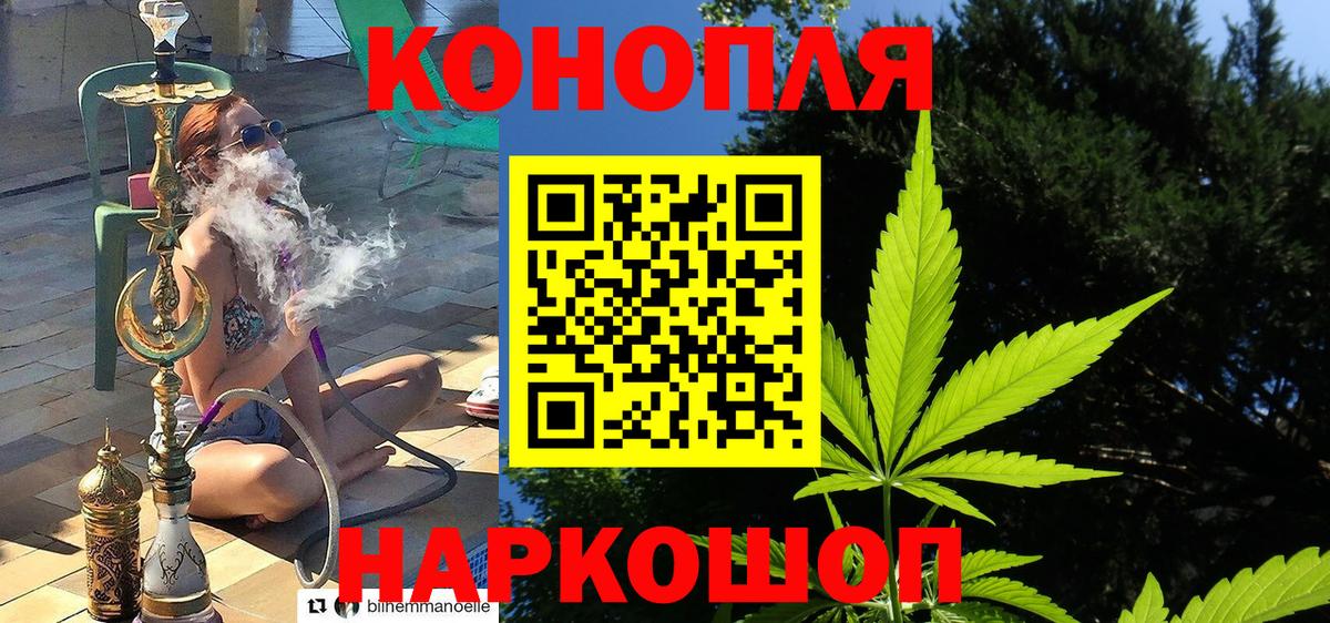 Бошки Шишки конопля Солнечногорск